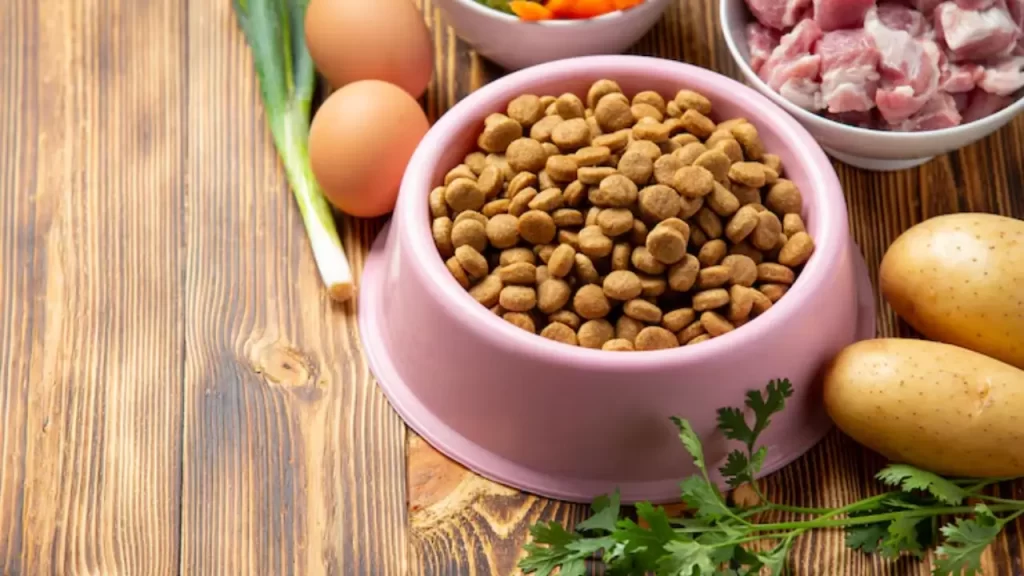 Comparação entre ração tradicional e personalizada para pets, mostrando os benefícios de uma alimentação mais saudável