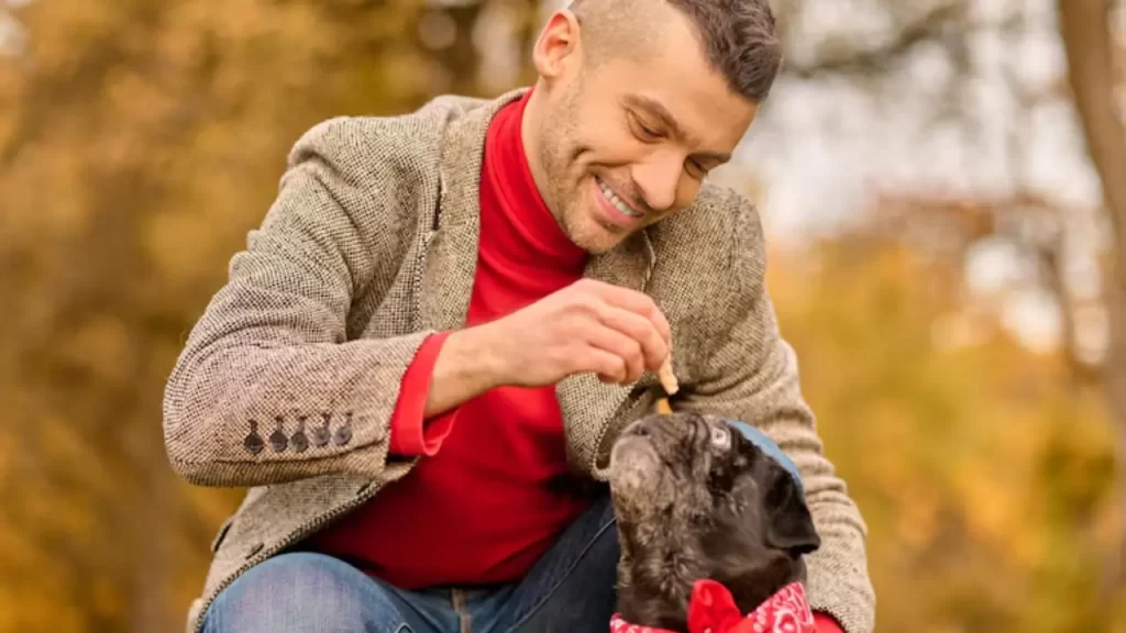 Homem acariciando o focinho do cachorro durante passeio no campo