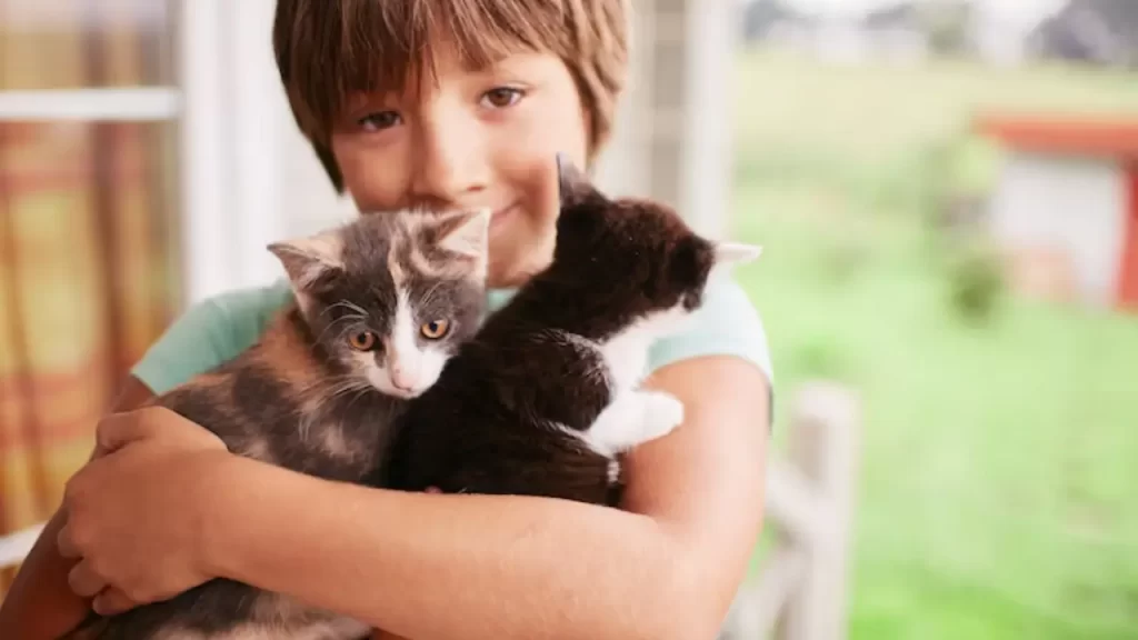 Adoção Responsável de Animais