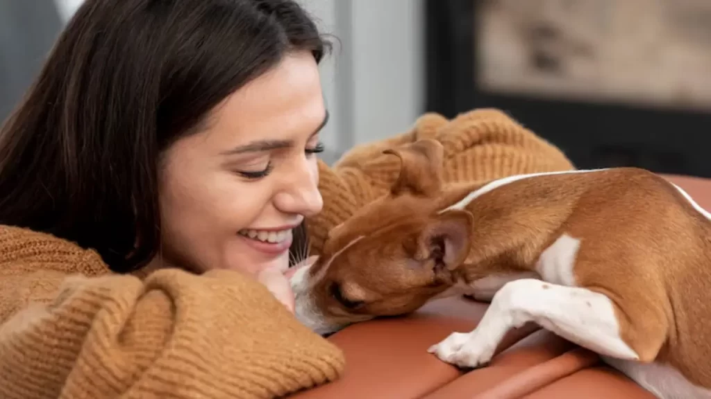 Cachorro olhando com amor para seu tutor enquanto sentado no sofá