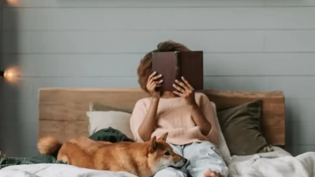Pets como Filhos